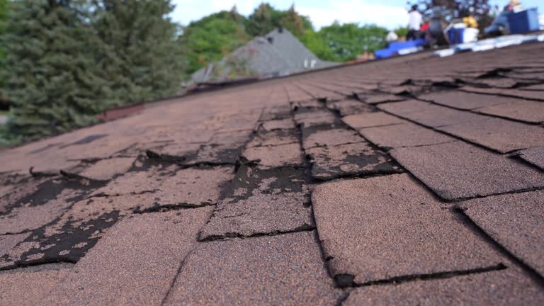 Best Asphalt Shingles Roofing  in Discovery Harbour, HI