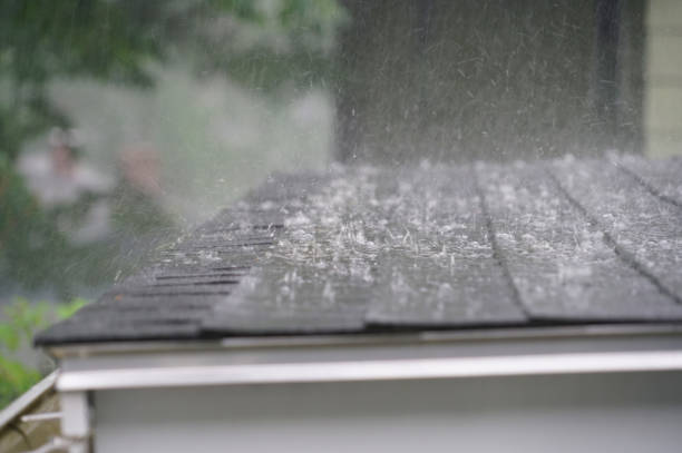Best Roof Coating Services  in Discovery Harbour, HI